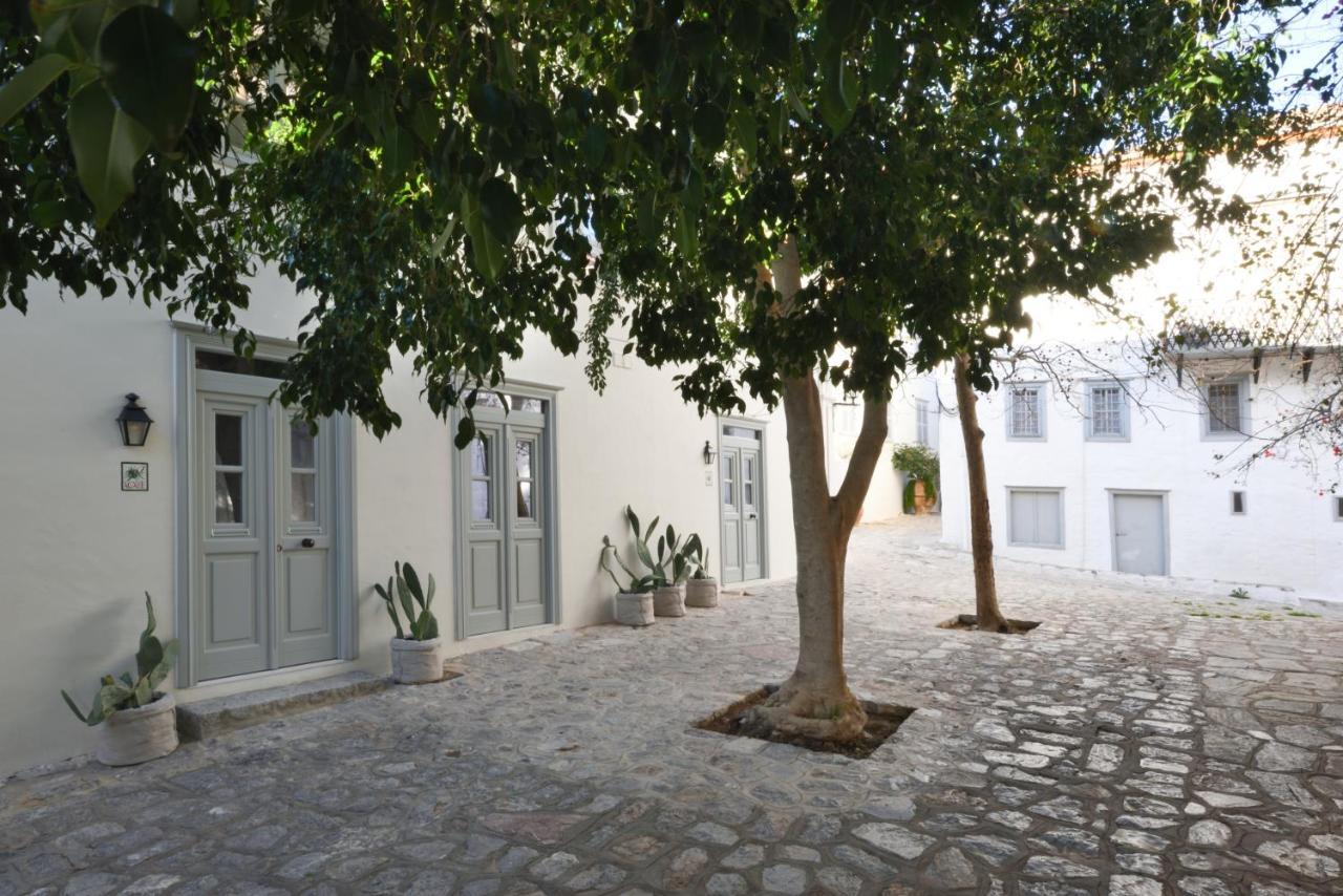 Cactus Hydra - Art Apartments Εξωτερικό φωτογραφία
