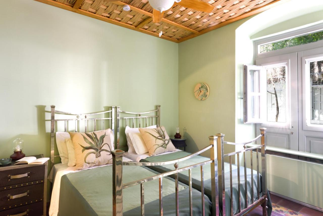 Cactus Hydra - Art Apartments Εξωτερικό φωτογραφία